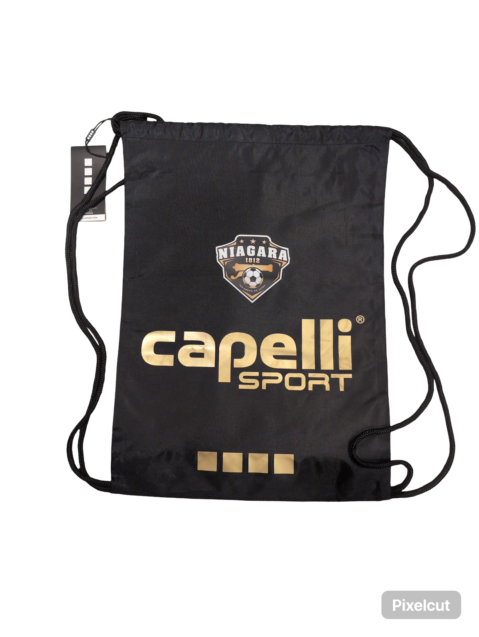 Team carrying bag