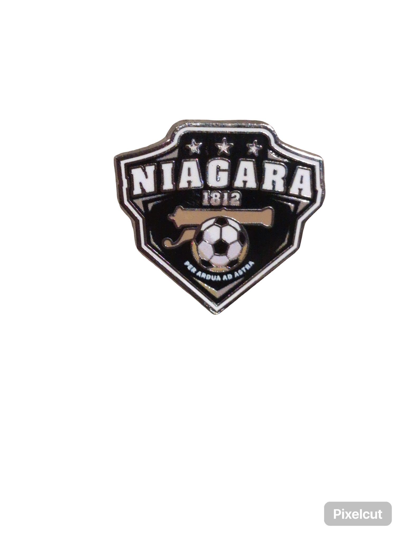 Team Pin